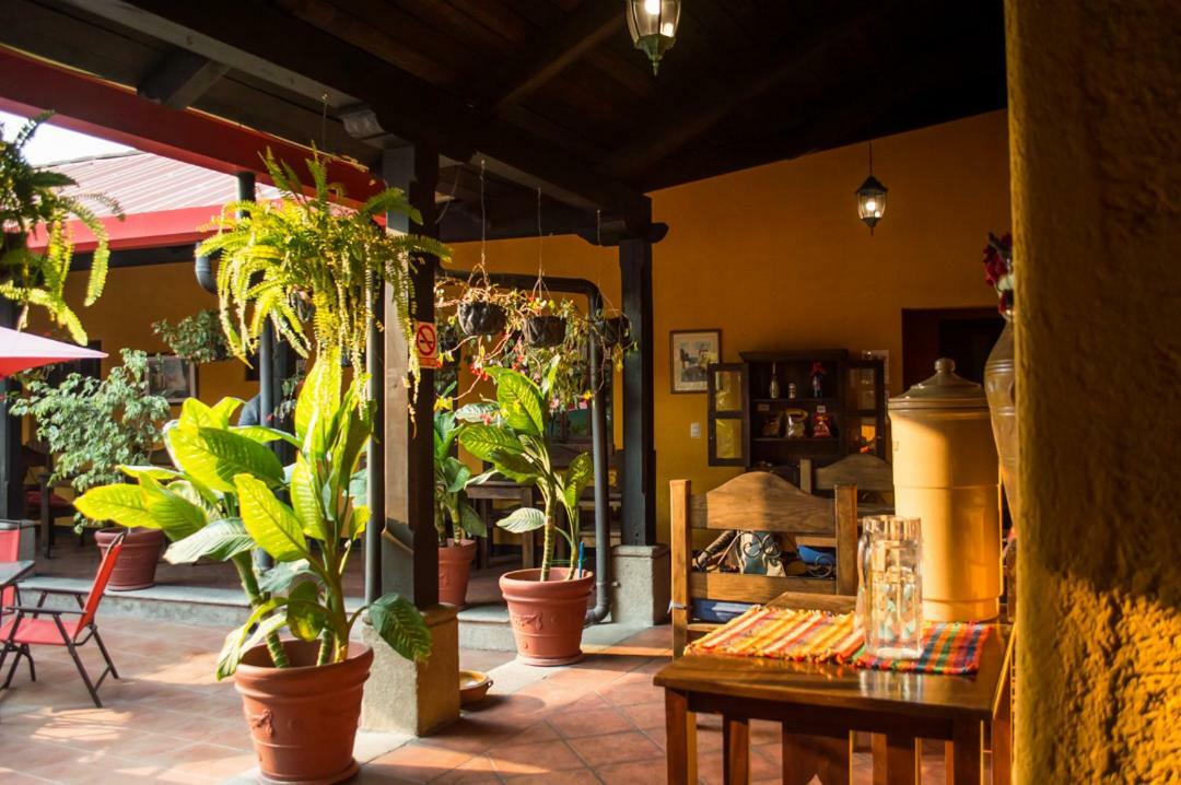 Hotel Palma De Mallorca Antigua Eksteriør billede